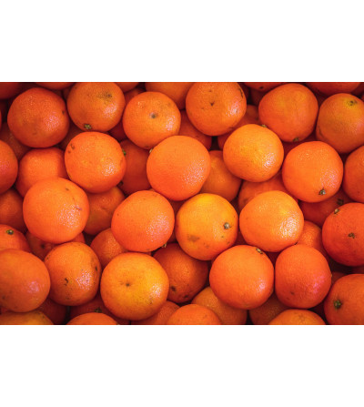 Clémentine Nour (vendu par tranche de 0.5kg)