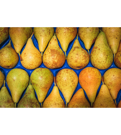 Poire conférence (la pièce)