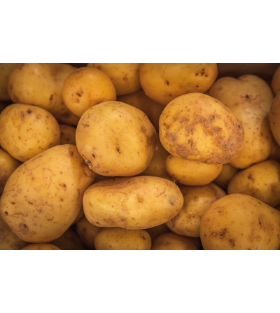 Pomme de terre Binjte (Sac de 10Kg)
