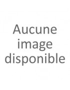 Melon / Pastèque